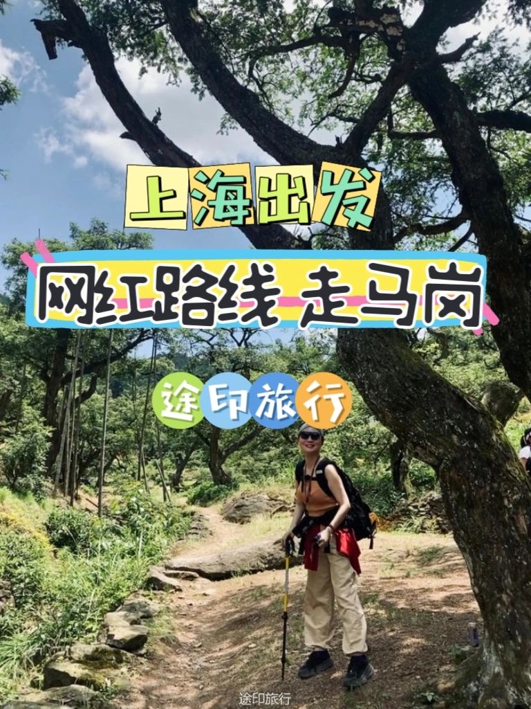 上海出发徒步千年香榧林走马岗