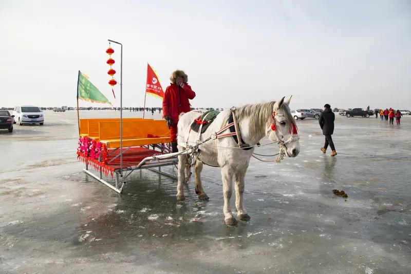 《回娘家》
四十年前回娘家，
骑个洋车顶呱呱。
如今轿车满地跑，
私架飞机有人家