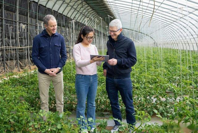 下一任苹果 CEO，可能是这位 iPhone 的掌舵人