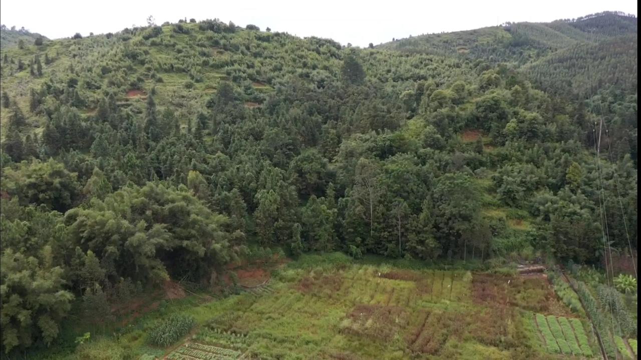 恭喜罗老板，找到一个很漂亮的地方，双龙贯脉，龙真穴地，木星结地！
​图一二穴位，