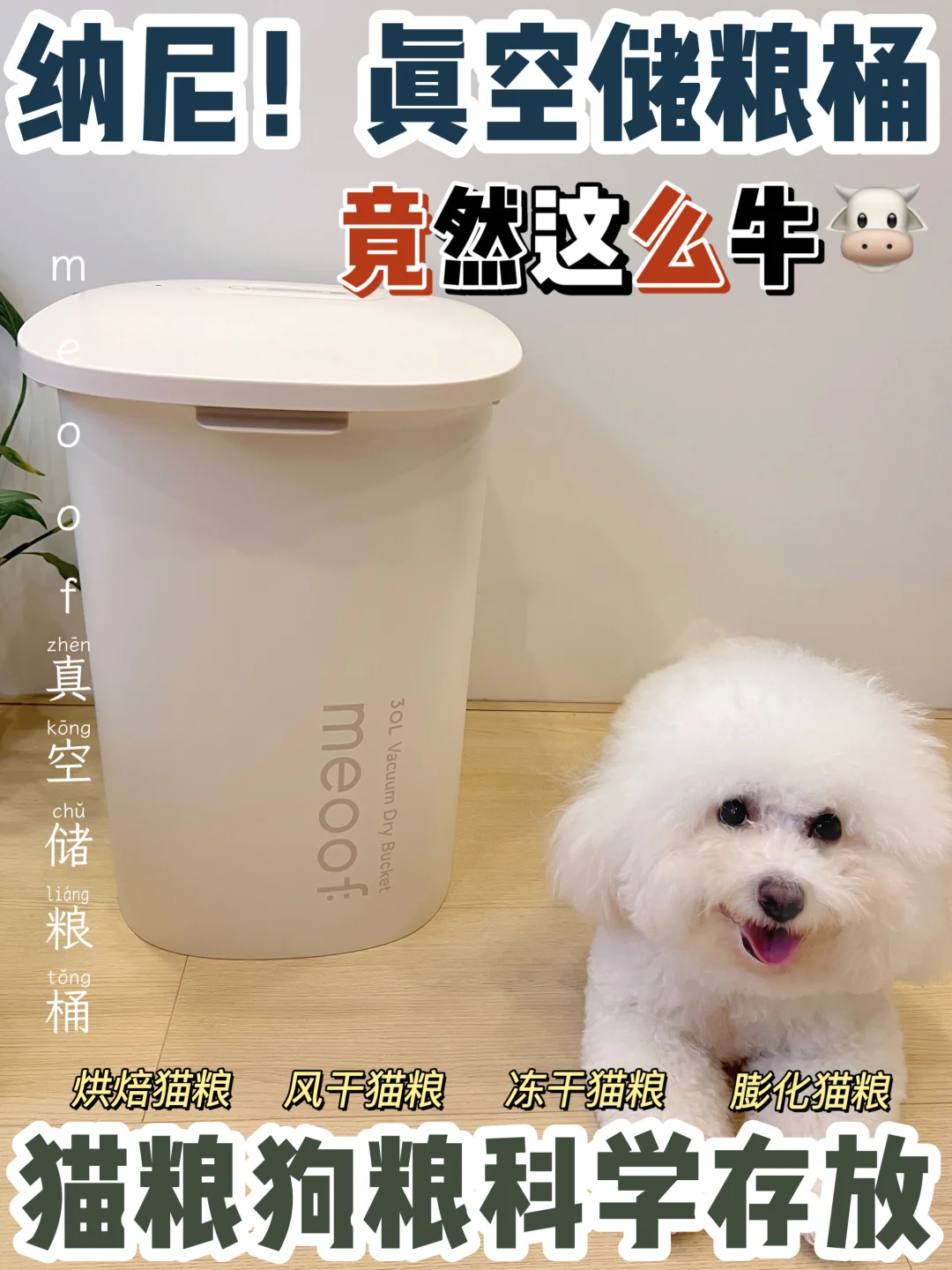 南方铲屎官必备储粮桶啊！有它能省不少心~