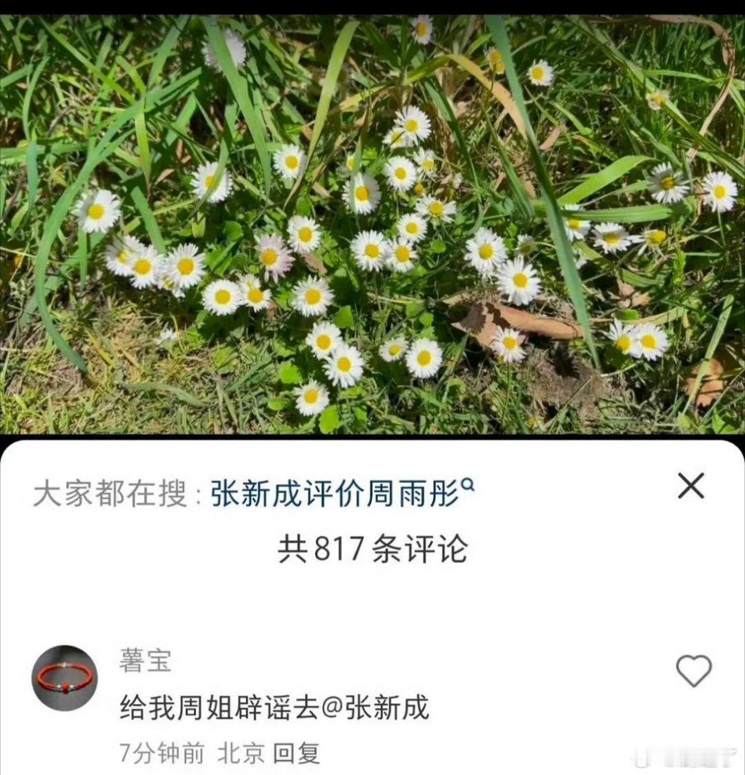 周雨彤粉丝怎么也是爱使唤人的，居然去张新成小红薯让他给周姐辟谣 ​ ​​​