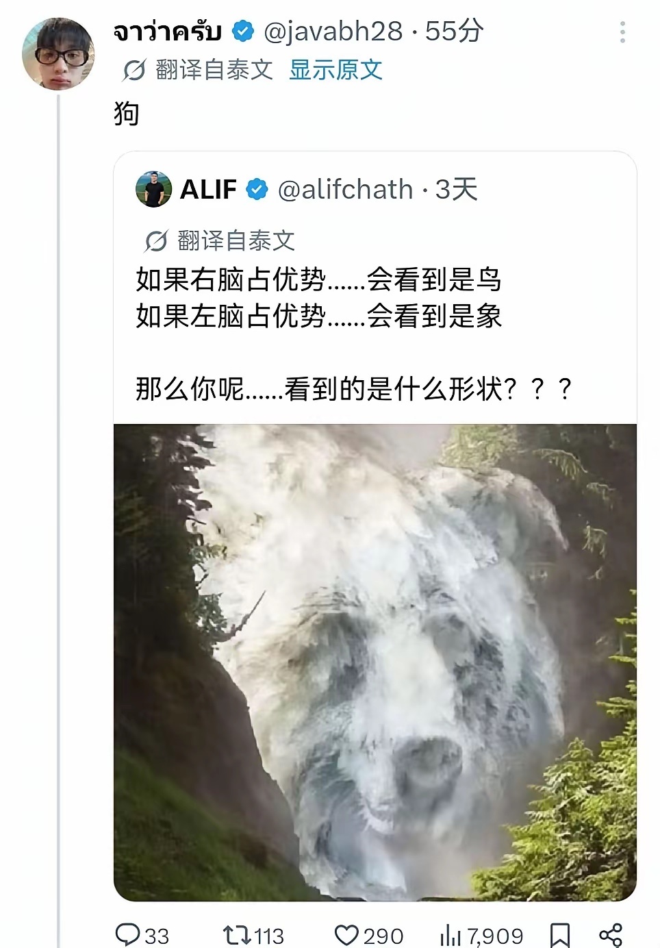 如果右脑占优势，会看到是鸟如果左脑占优势，会看到是象那么你呢，看到的是什么形状？