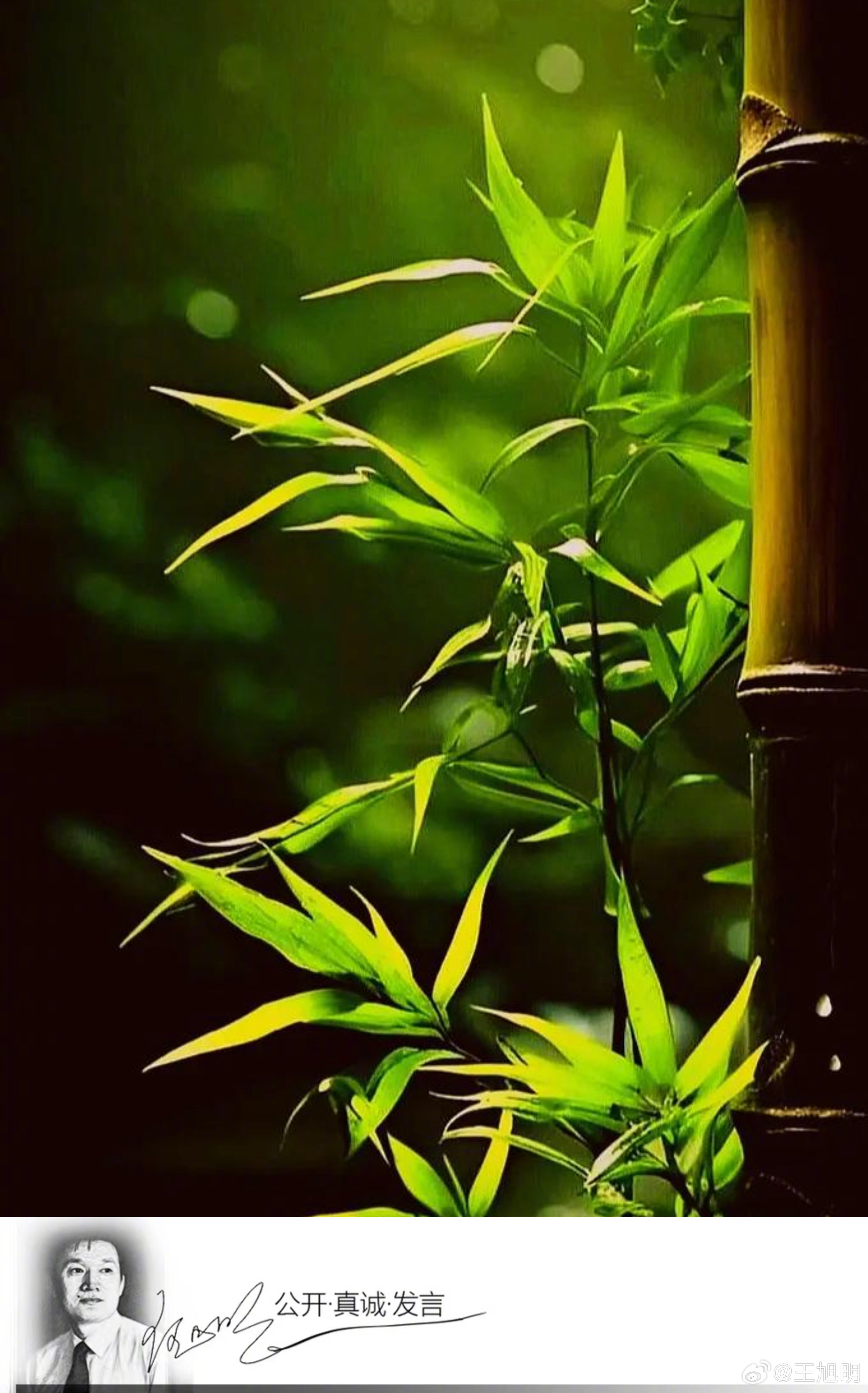 经常读到许多回忆永远的校长刘道玉的文章，这一篇的这一个细节让我印象尤深，感人至深