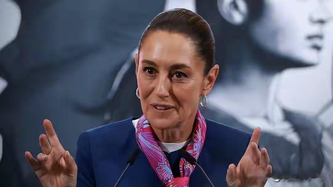 281票赞成通过法案，墨西哥将对华加税50%，中方反制已箭在弦上
 
这场关税风