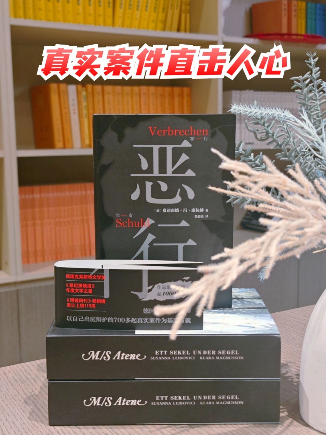 38个真实案件，深度剖析人性，震撼人心～