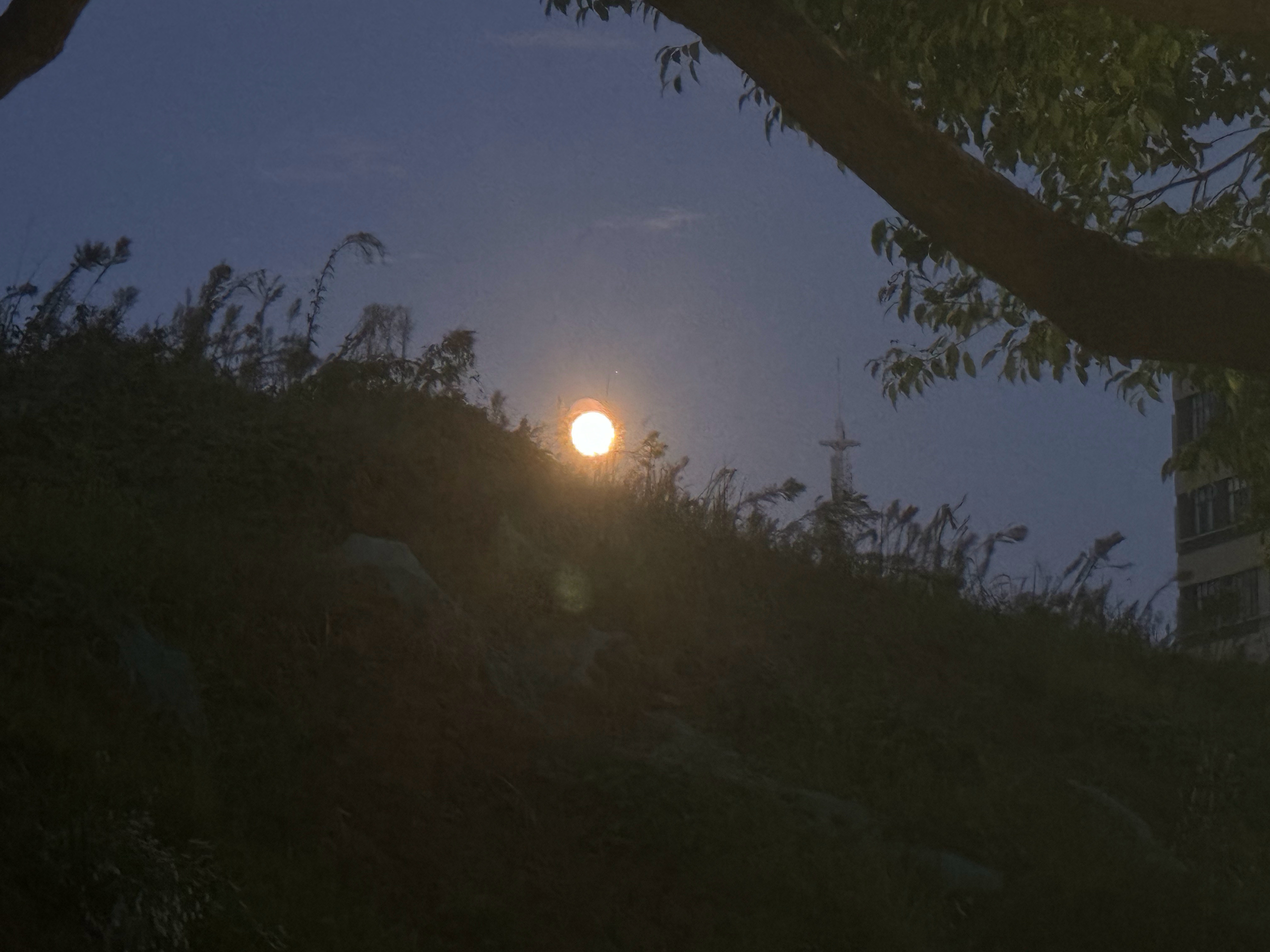 黎明时分的天空，是被晨雾揉开的淡青与乳白，像一块浸了水的玉髓，朦胧中透着温润的光