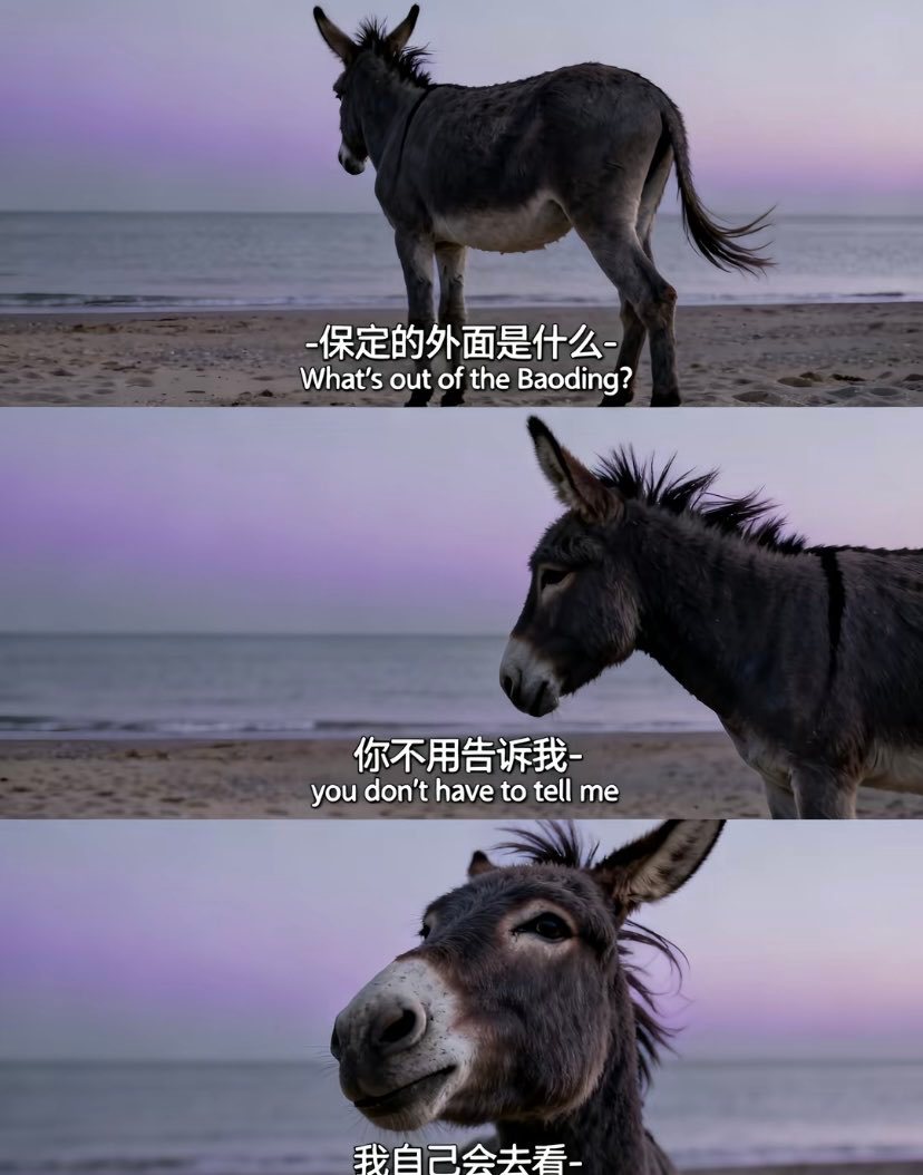 问题来了，保定的驴火好吃还是河间的驴火好吃？ ​​​
