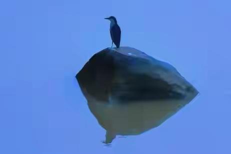 别怨，别气，别恨：怨来恨去，折磨的只有自己
 
前几天刷到一个视频，博主说：生气