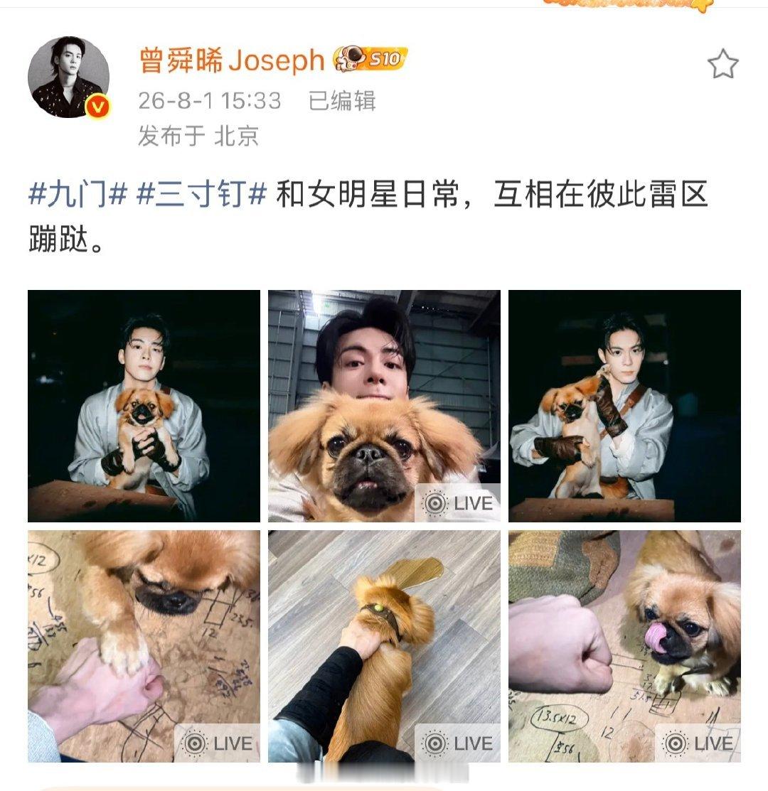 曾舜晞叫三寸钉女明星 个头小巧气场十足，干活靠谱还自带小性子，完全符合女明星人设