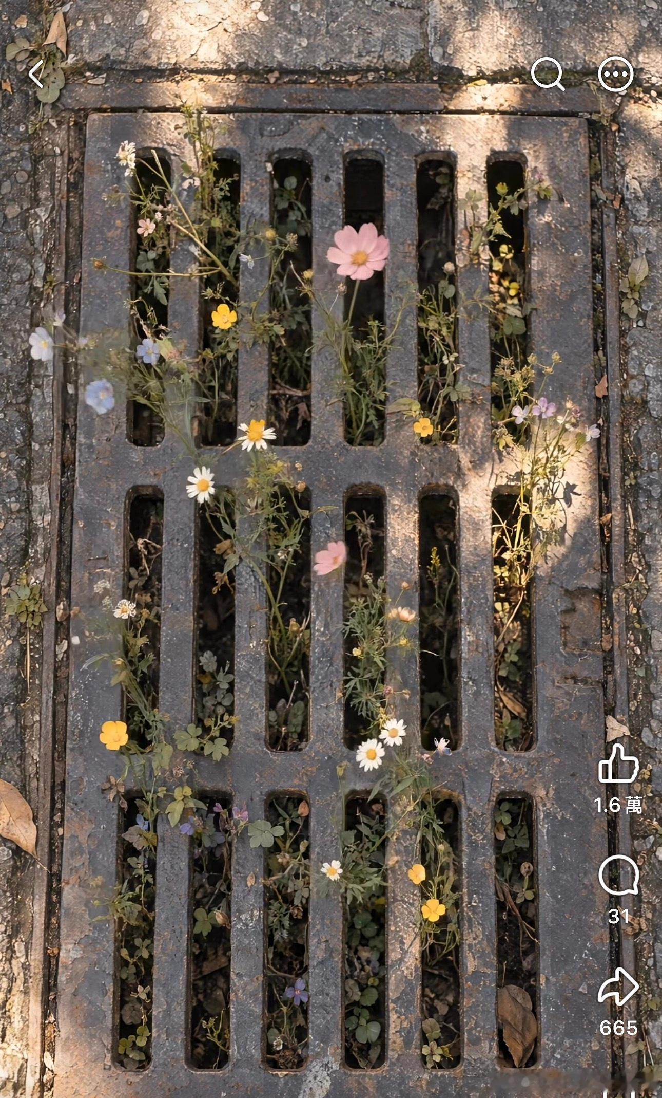 来一个宁静的早晨 ​​​