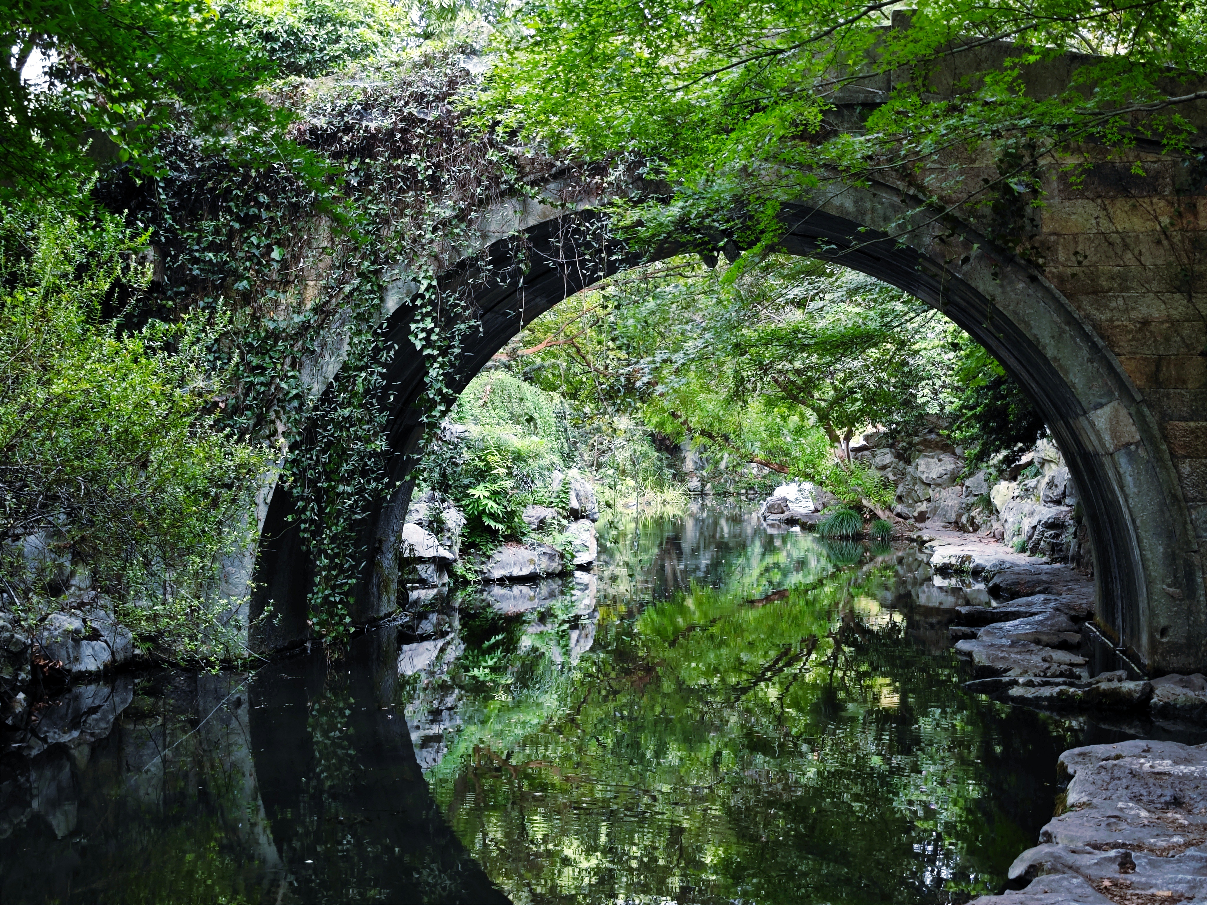 在杭州找到了现实版绿野仙踪！这是藏在西湖景区里的绿野仙踪，春夏的满眼的绿意，在这