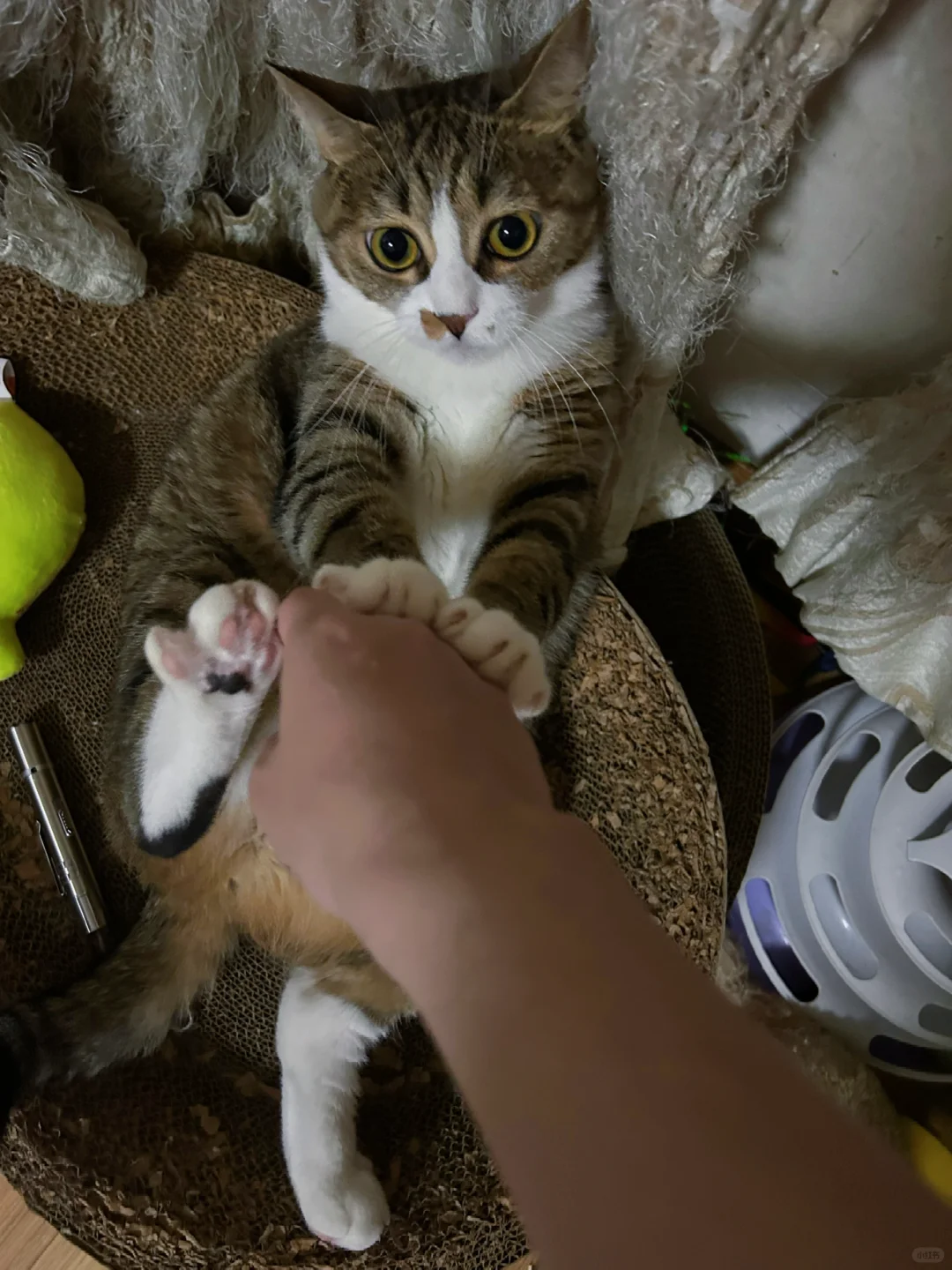婉拒了哈！