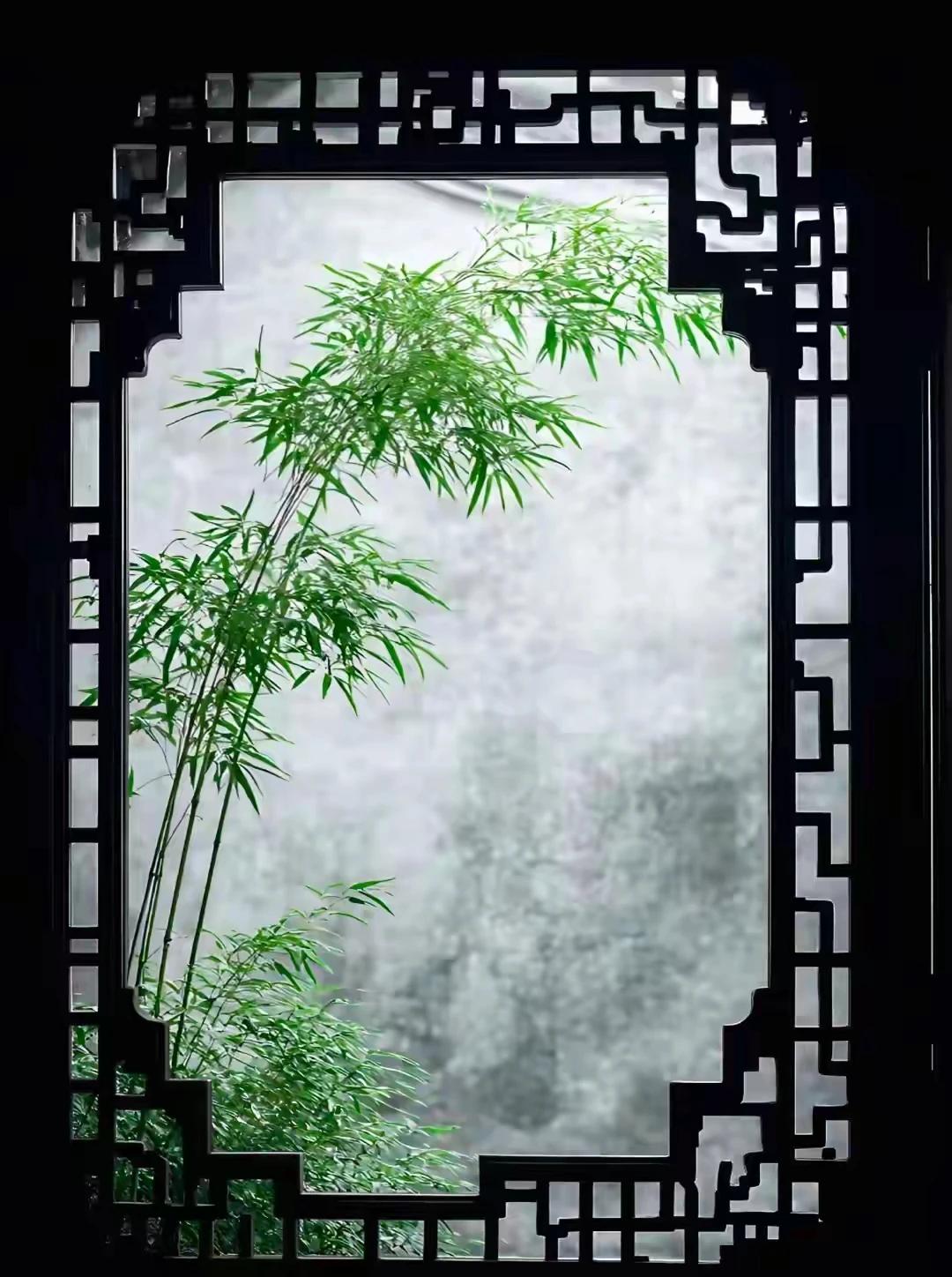 景中之美景，
视觉之盛宴。