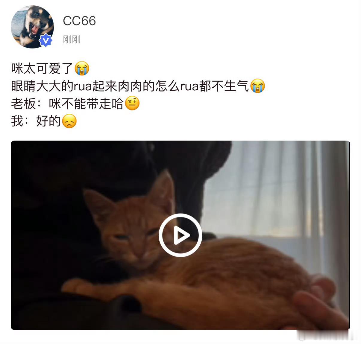 马嘉祺咪不能带走哈马嘉祺高会更新老板：咪不能带走哈马嘉祺：好的 