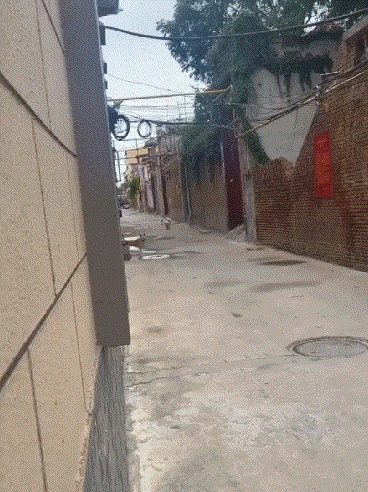 狗:就冲你这声哥，不咬你了！