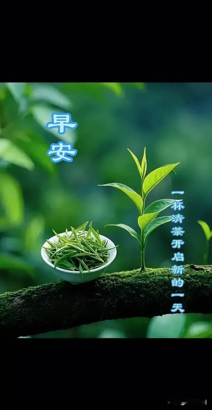 《七律·人间至味》
 
清茶淡韵自生欢，
妙味悠悠落齿寒。
挚友寸心常惦念，
良