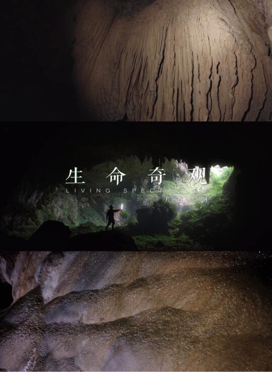 每个普通人都该成为这片土地最温柔的解码者