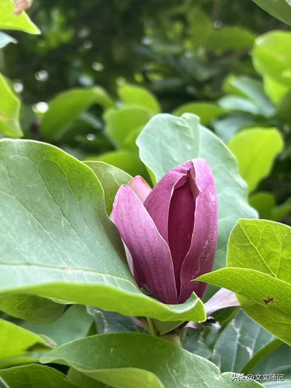 结婚纪念日那会儿，老公给我转了5200块。

红包上写着"老婆辛苦了"。

我当