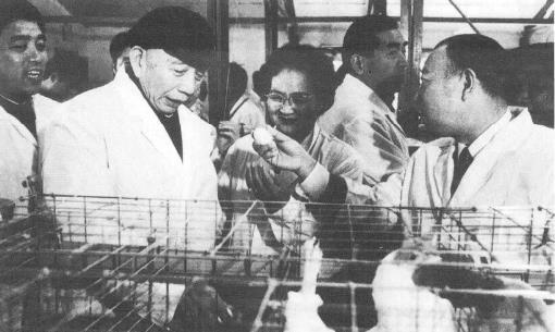 竹入义胜是田中访华的铺路人之一。图为时任日本公明党委员长的竹入(右一)在时任国务