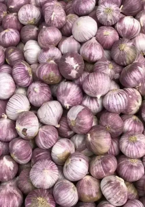 4月20日，中国驻美大使在世界第56届世界贸易协会中心全球商业论坛上指出，美国把