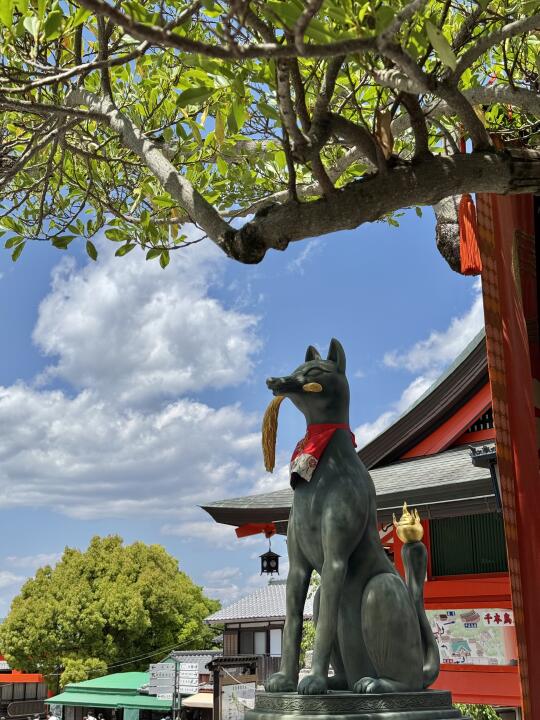 京都伏见稻荷大社山顶长什么样呀