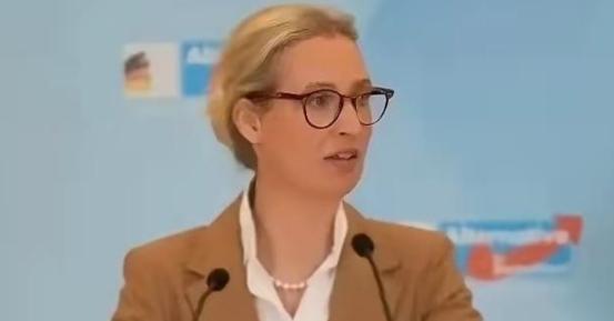 德国选择党领袖爱丽丝·魏德尔表示，若是他们党派执掌政权，那他们将对乌克兰提出索赔