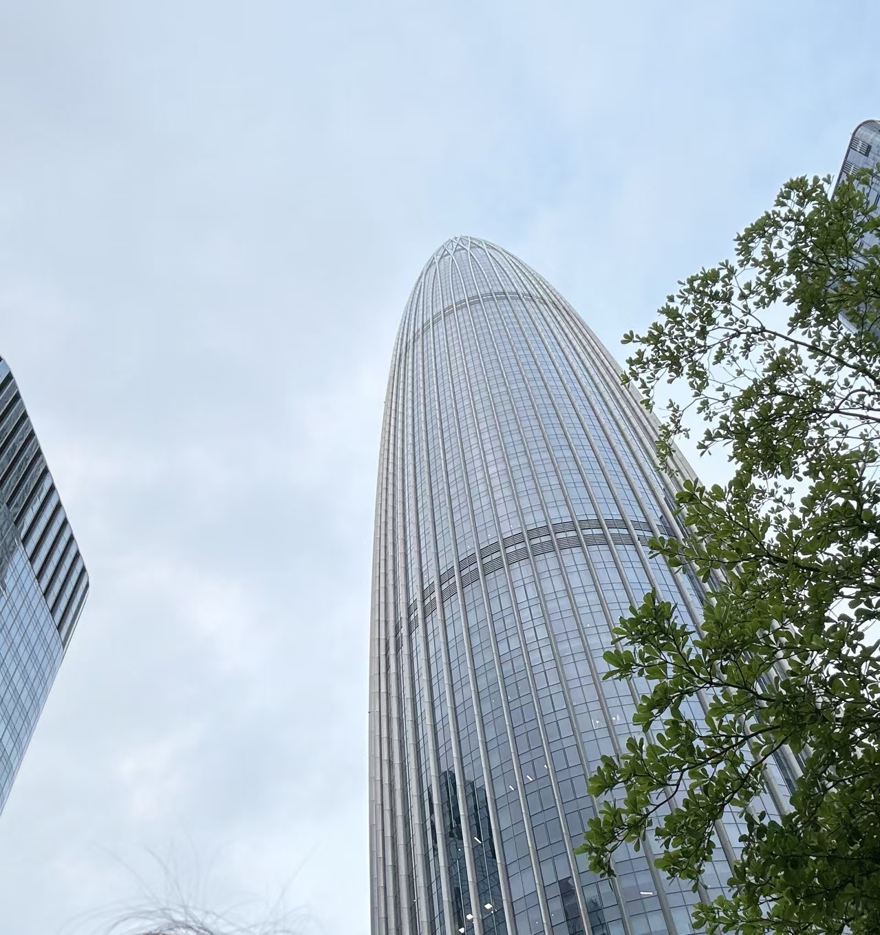 真正的顶级魅力：从来不是漂亮而是生生不息的生命力💓 