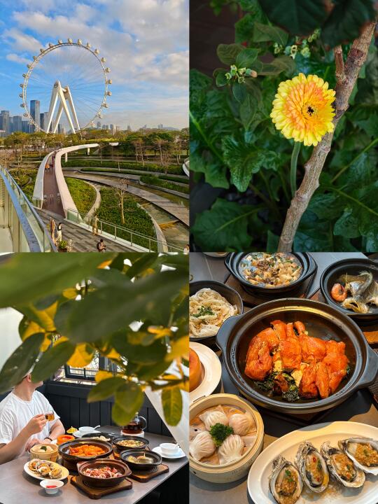 欢乐港湾的美食推荐⭐摩天轮下的浪漫花园🎡