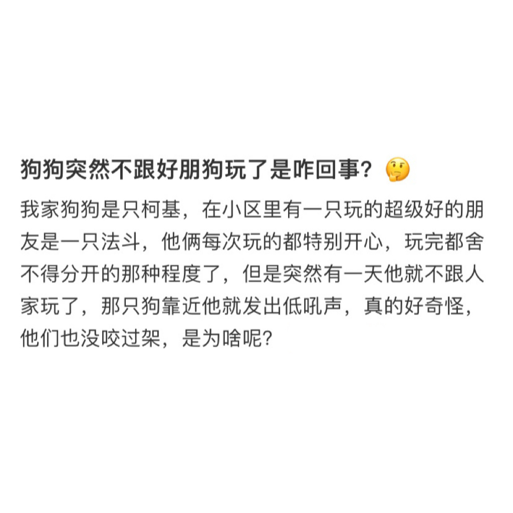 小狗之间的友谊也会渐行渐远吗[收到] ​​​