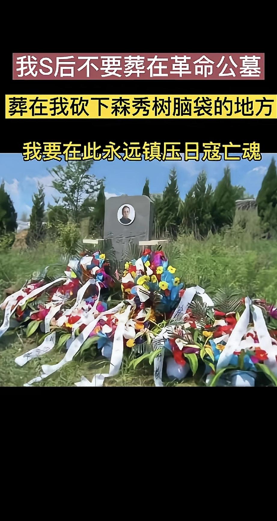 生时要尔命，死后震尔魂
无为名与利，只为华夏根。
我死后，不要把我葬在什么革命公