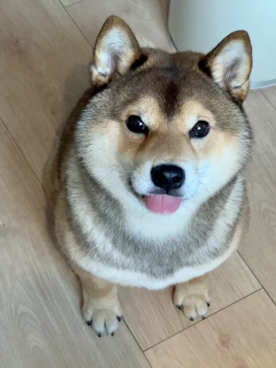 带有目的性的热情 来得快去得快