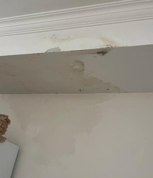 过户之后发现漏水，心里肯定窝火，不过别慌，这钱大概率不会白花。能不能退房，关键得