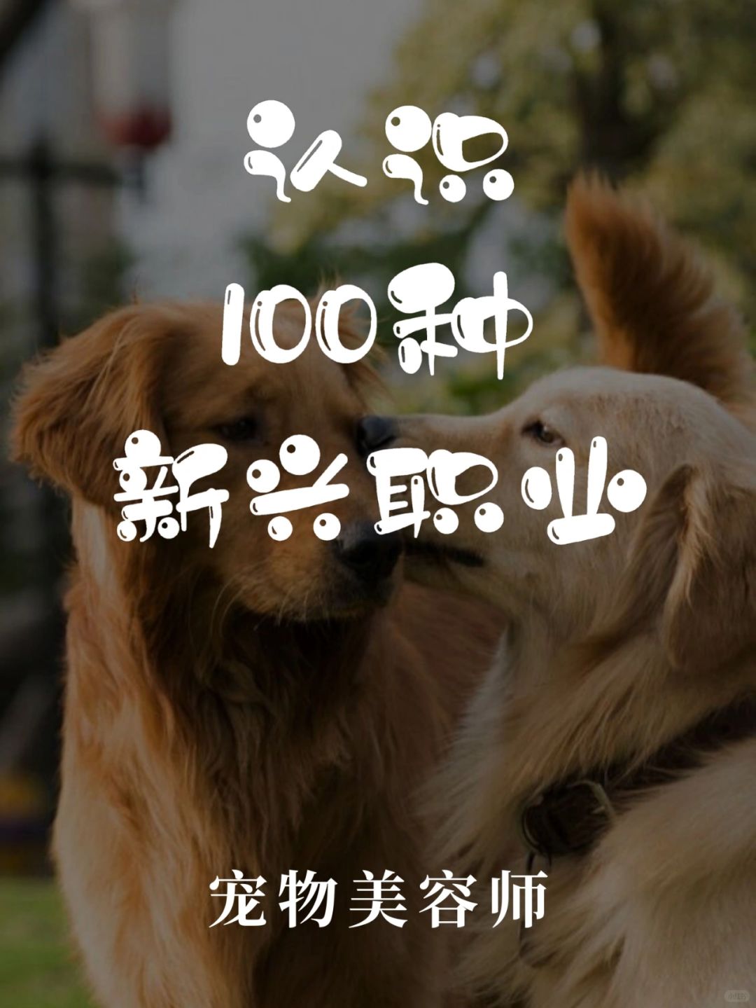 带你认识100种新兴职业·宠物美容师