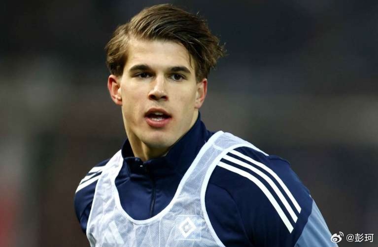 汉堡队后卫卢卡·武什科维奇在接受采访时谈到了自己的弱点:“我最大的弱点是速度，我