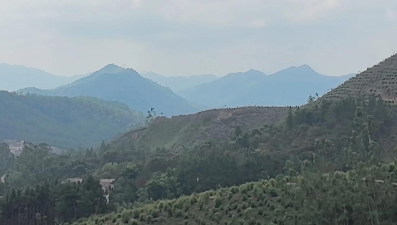 来广东河源为粉丝朋友寻宝地，看了几片山，还是发现有二处中上等好地没被人用掉！东家