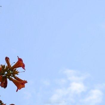 如果没有人为你遮风挡雨，那就学会自己披荆斩棘，面对一切，用倔强的骄傲，活出无人能