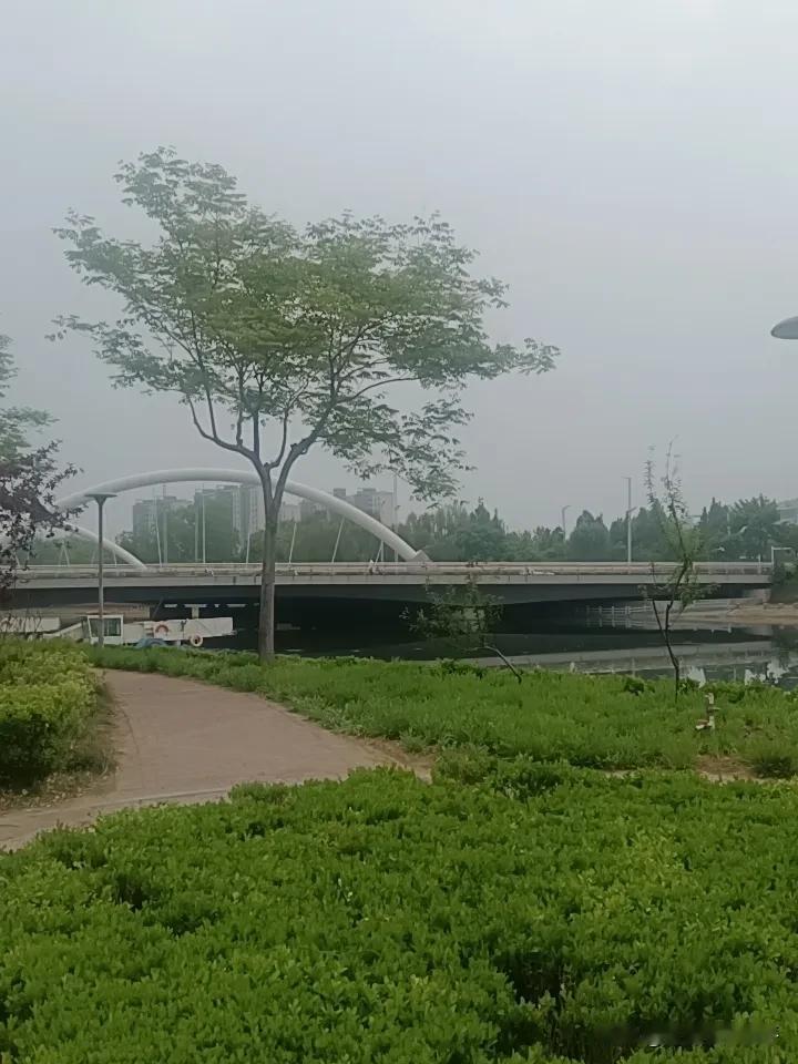 真理，真相，真我，真心，真爱，真使命，真动作。
​
​这些真东西的目的，

都是