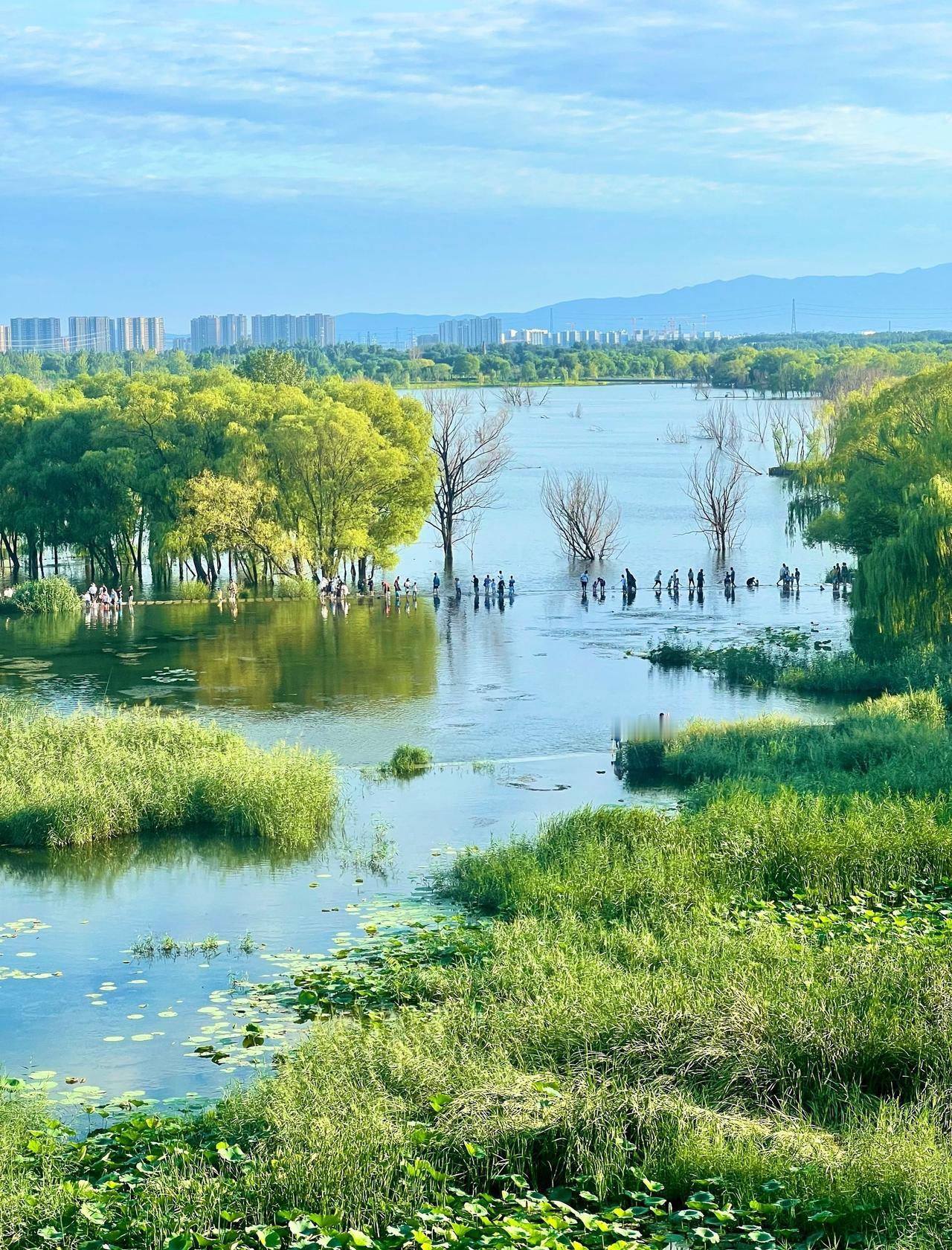 ✨ 芦苇荡、银杏道、泉眼溪流...
99%的人不知道的宝藏秋景！
📍 导航：白