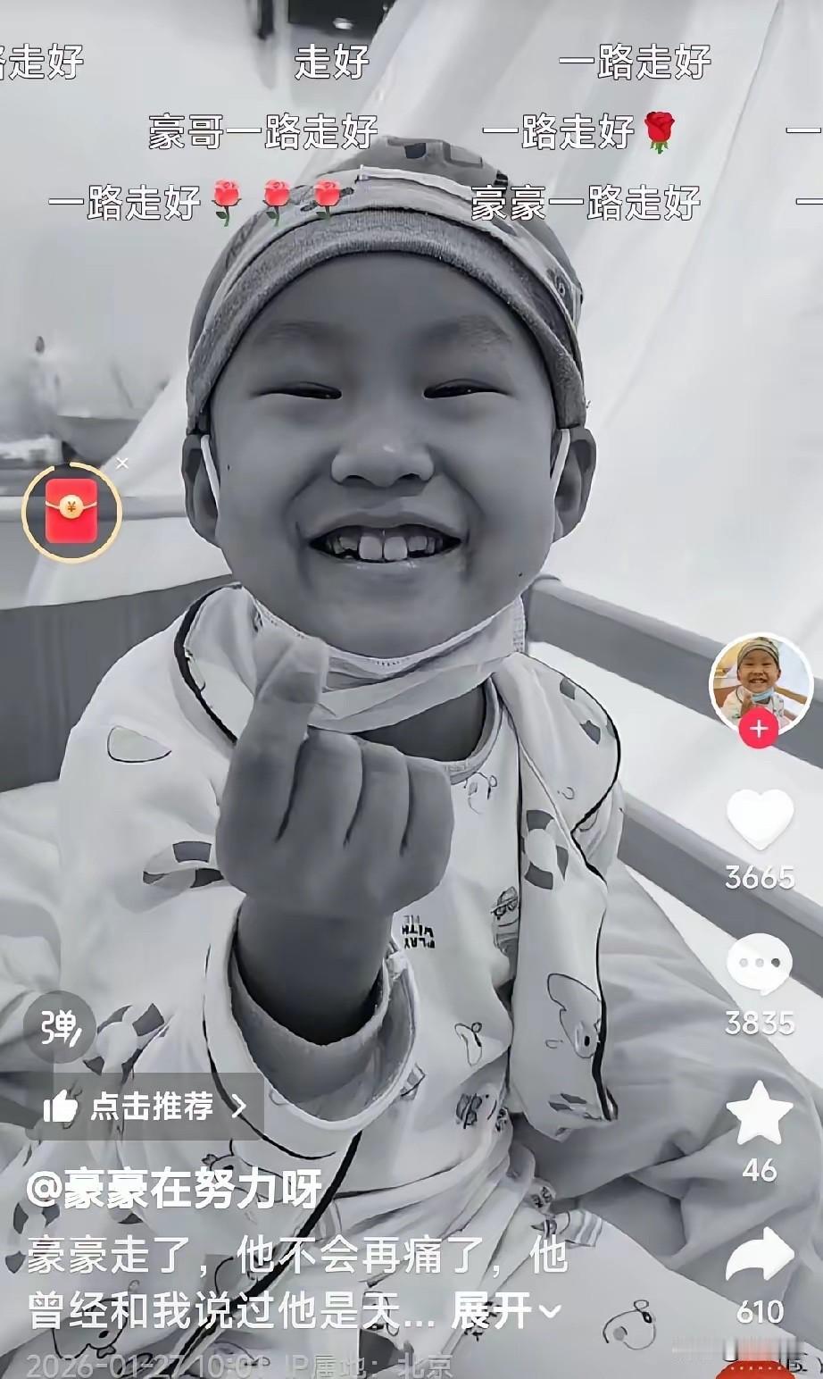 天啦！哭死！豪豪妈妈发视频说豪豪去世了，27日凌晨去世的！从1月12日被医生劝放