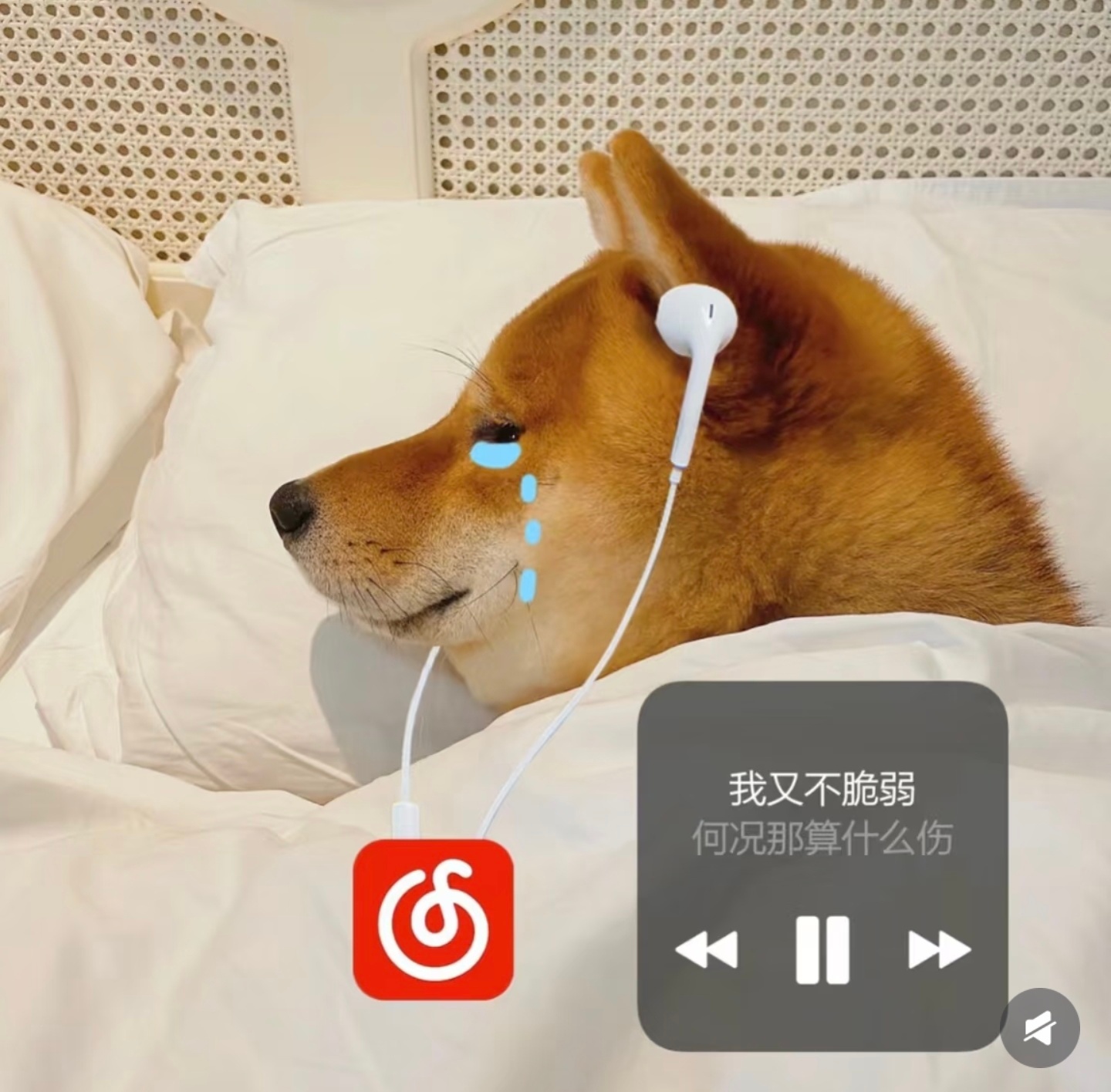 20周年iPhone看点汇总别这样，我这还没到手的iPhone 17pro ma