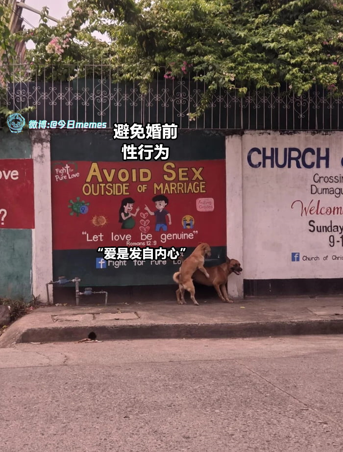 倒！倒！（9gag）哎呀