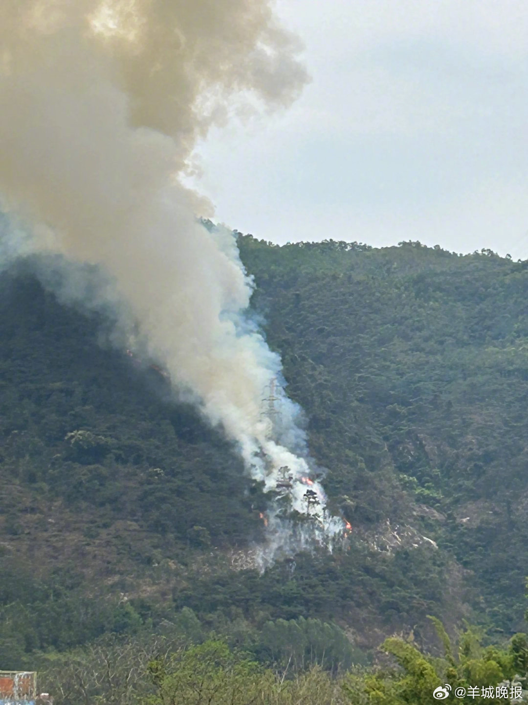 #肇庆羚山山火调查结果公布#【肇庆羚山山火调查结果披露！两人在枯叶处乱丢烟头，被