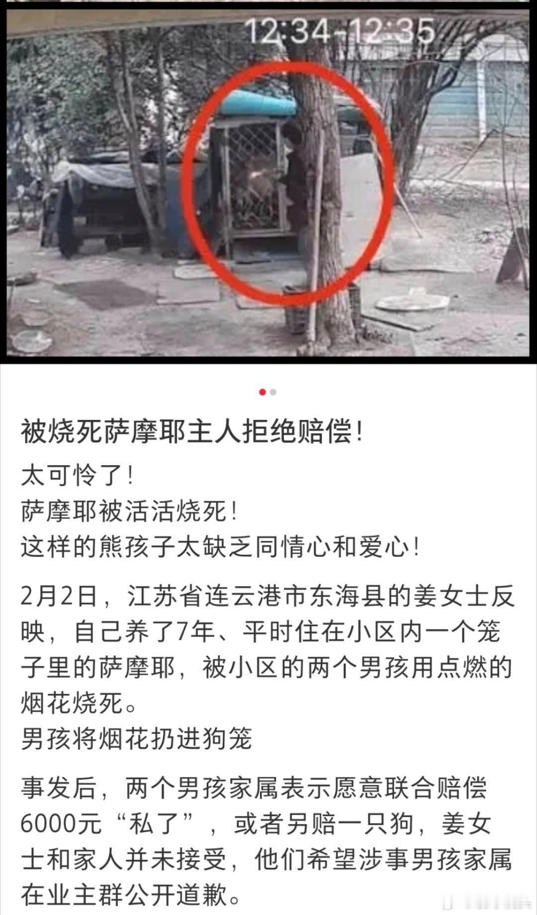 被烧死萨摩耶狗主拒6000元私了这个事最可怜的就是这条狗，活着的时候被关在外面的