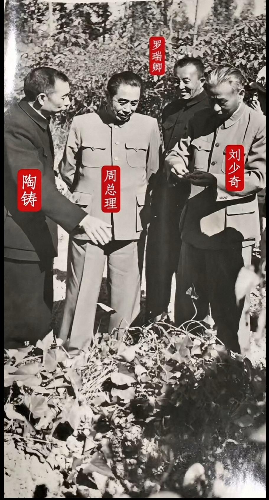 具往矣！数风流人物，还看今朝