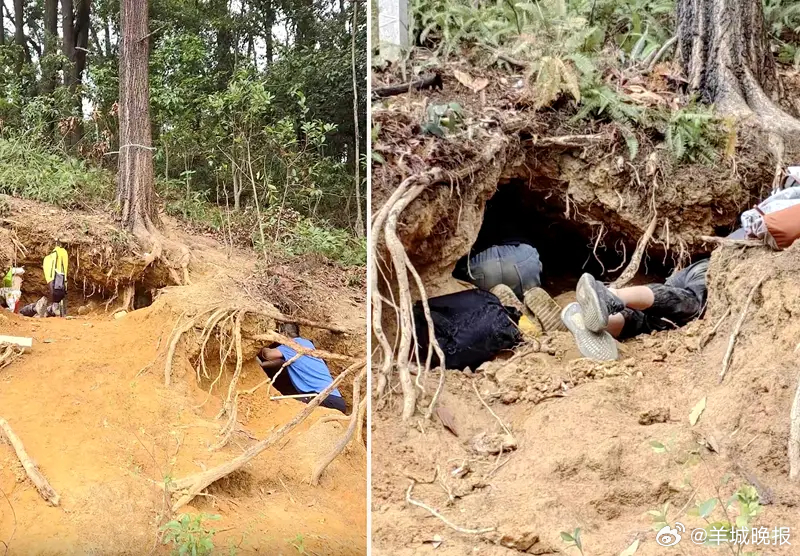 【#淘晶热是流量狂欢下的生态灾难# |街谈巷议】广州黄埔区的暹岗大山最近很“热”