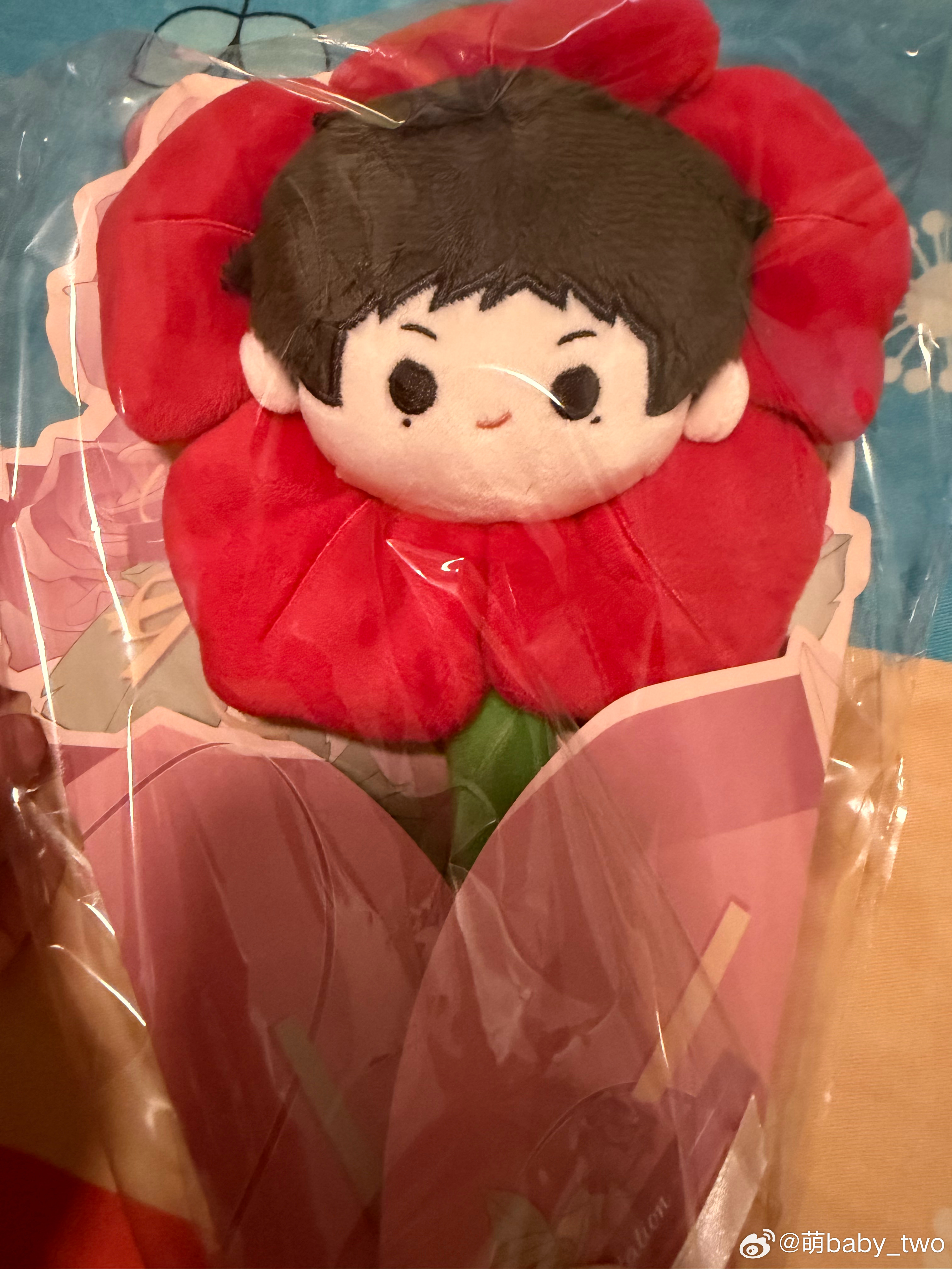 这两个贝只能远观，不能近看……花花还可以的 