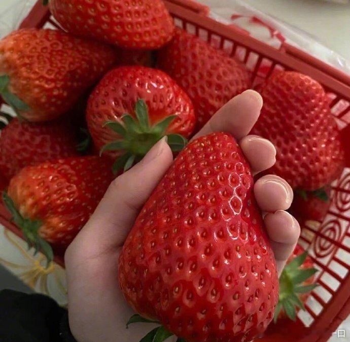 这是真的么？丹东的兄弟们，草莓那么大个！ ​​​