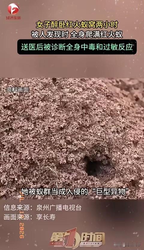 女子醉倒绿化带遭红火蚁围攻！7月15日多家媒体集中报道，福建泉州，一名女子醉酒之