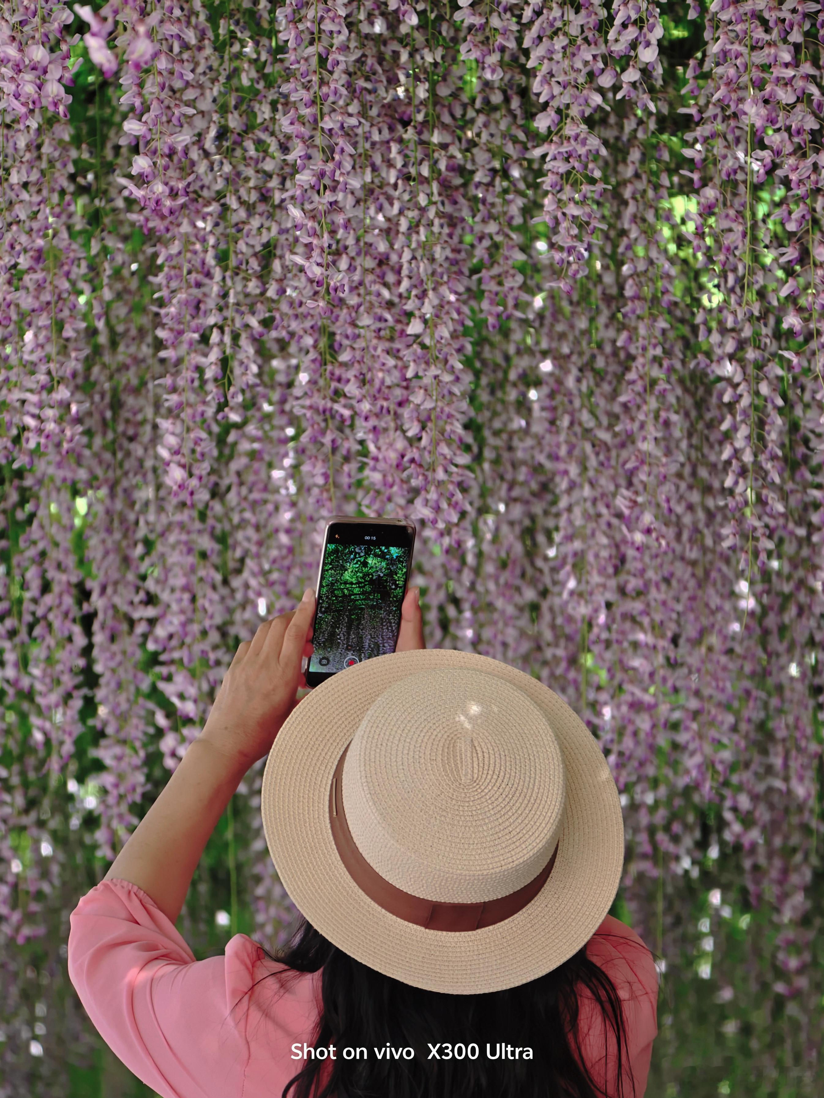 被玉渊潭的紫藤瀑布狠狠治愈了✨拍照小Tips1. 低角度仰拍，拍出漫天紫藤瀑布既